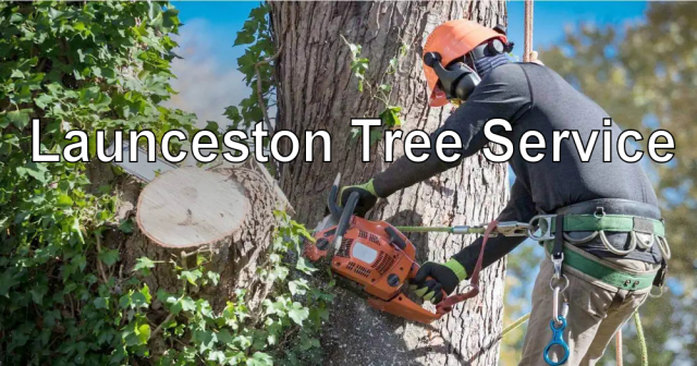 Launceston Tree Service