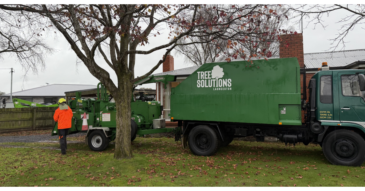 Tree Solutions Launceston